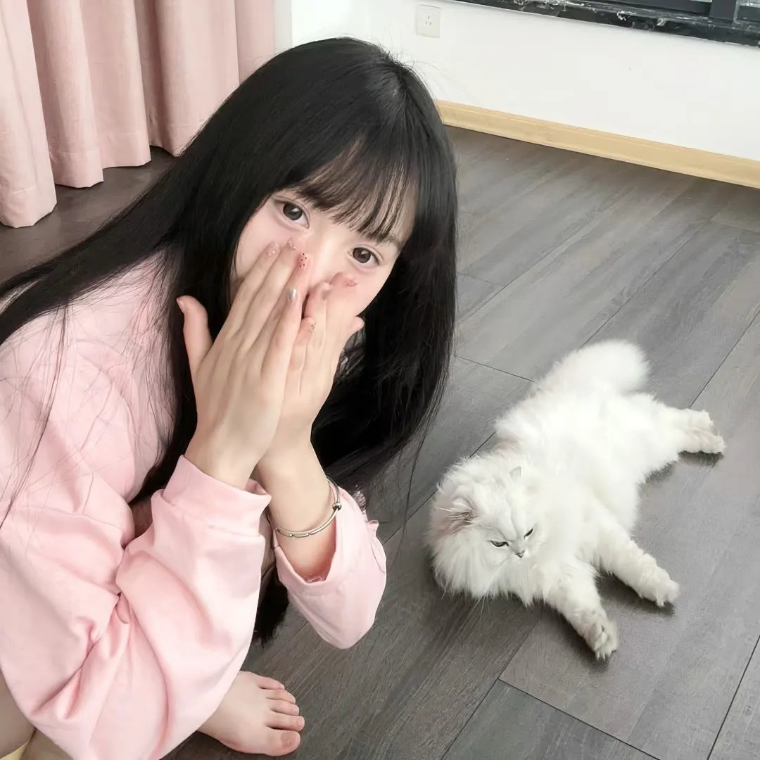 莫丽的朝圣