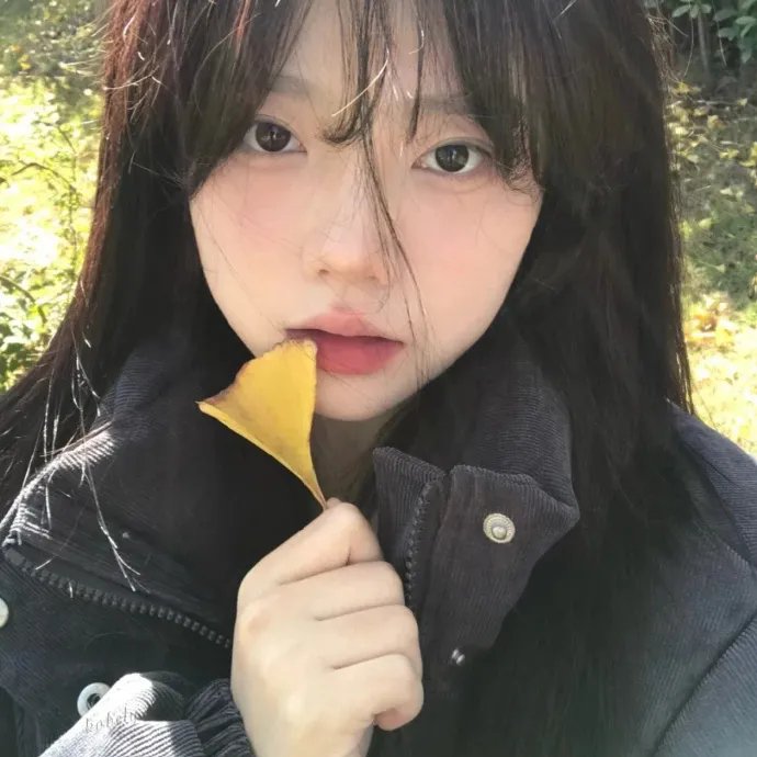 梨花劫